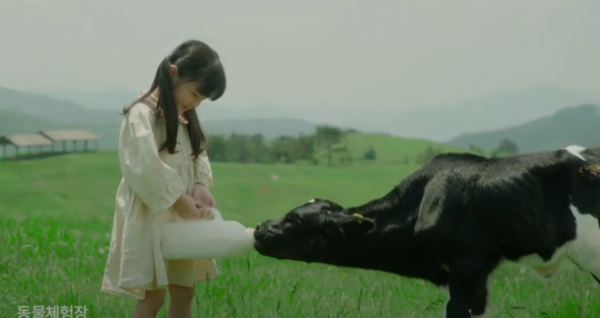 74371983e4182efb8063afadfc5f419c_1641361