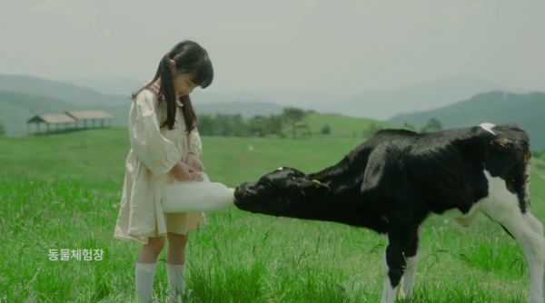 74371983e4182efb8063afadfc5f419c_1641361