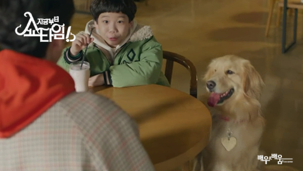 c1e30801a43948221f17a2431ee243e4_1653369